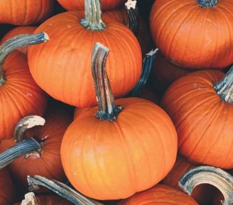 Hokkaido pumpkin