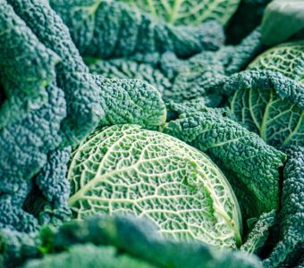 Lettuce